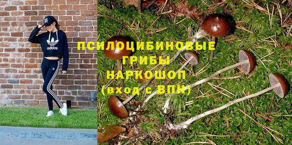 альфа пвп Нея