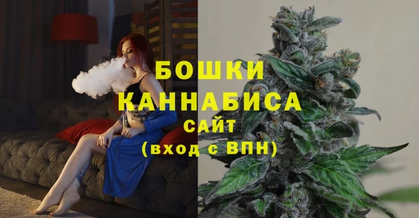МДПВ Нефтегорск
