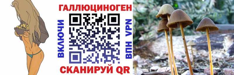 Псилоцибиновые грибы мухоморы  Куртамыш 